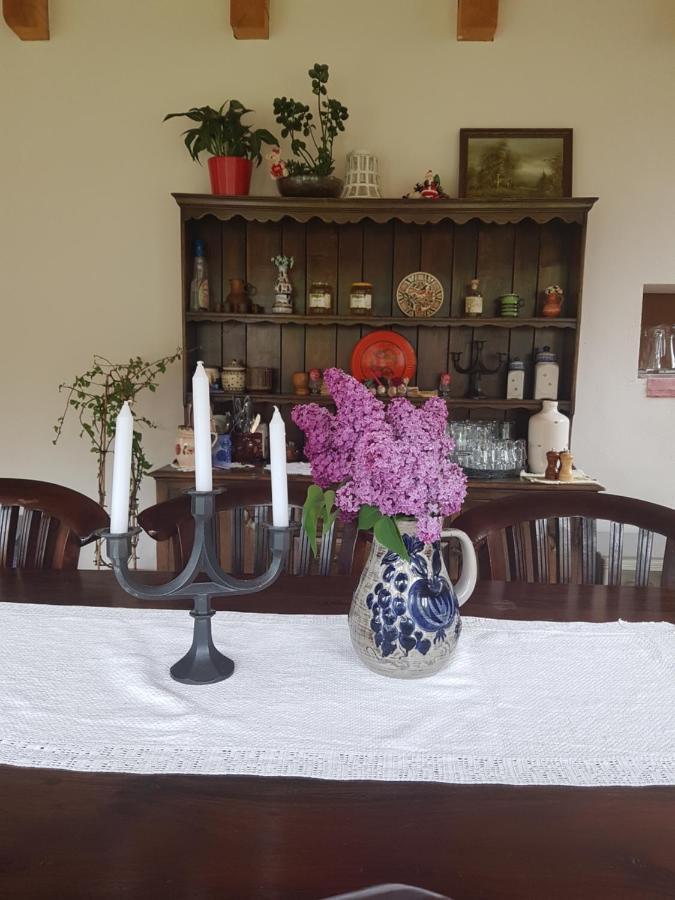 Sura Lu' Vasile. Bed and Breakfast Crivina  Buitenkant foto