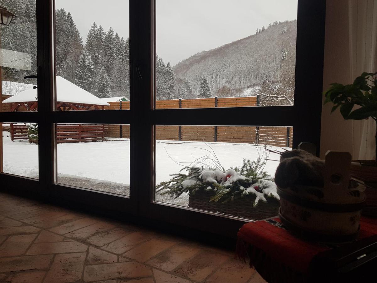 Sura Lu' Vasile. Bed and Breakfast Crivina  Buitenkant foto