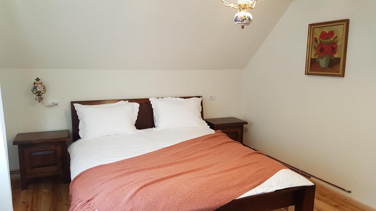 Sura Lu' Vasile. Bed and Breakfast Crivina  Buitenkant foto