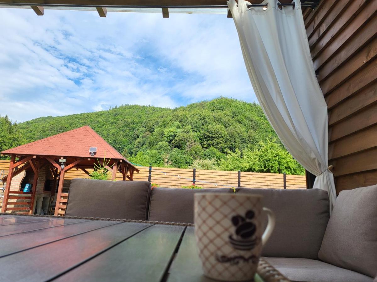 Sura Lu' Vasile. Bed and Breakfast Crivina  Buitenkant foto